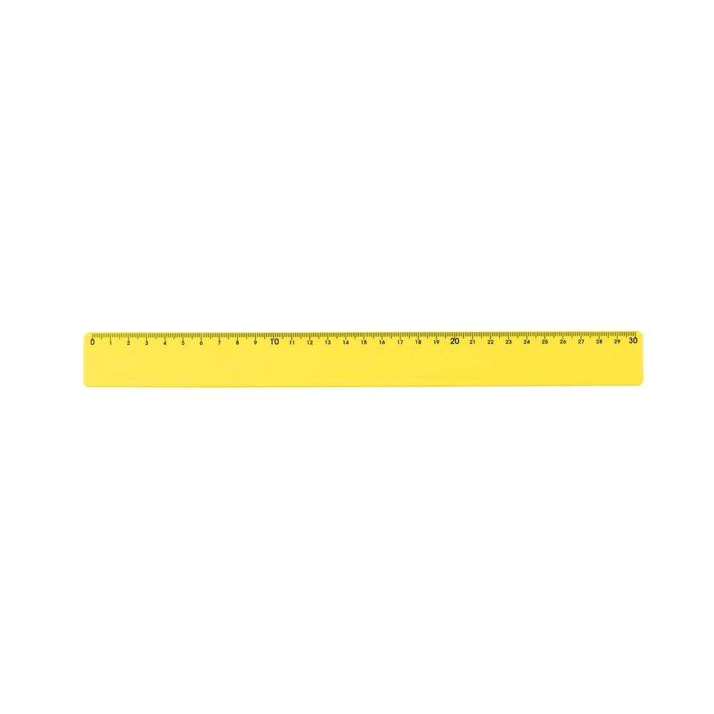 RÉGUA PLÁSTICA 30CM
