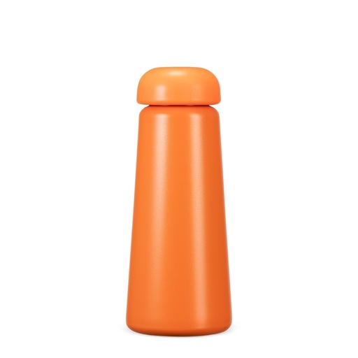 [X250503] GARRAFA TÉRMICA 450ML