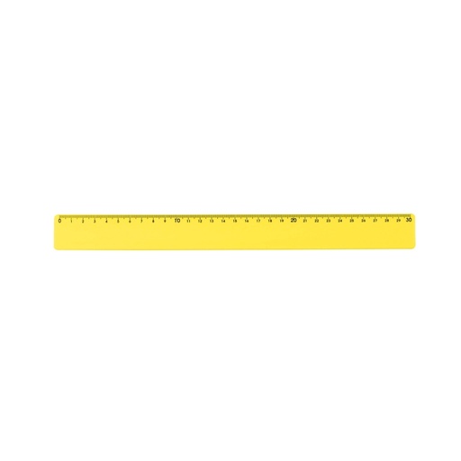 [X072397] RÉGUA PLÁSTICA 30CM