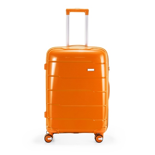 [X160962] MALA DE VIAGEM 66L